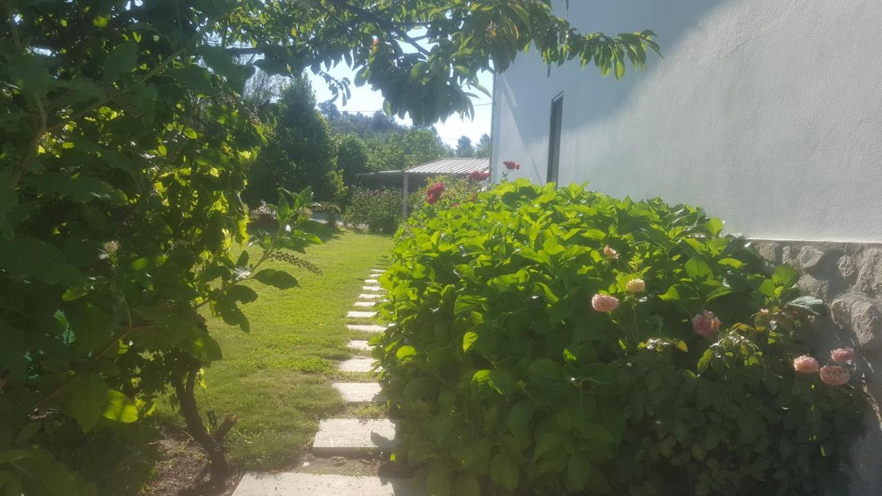 Quinta Do Serrado De Belmonte Белмонте Екстер'єр фото