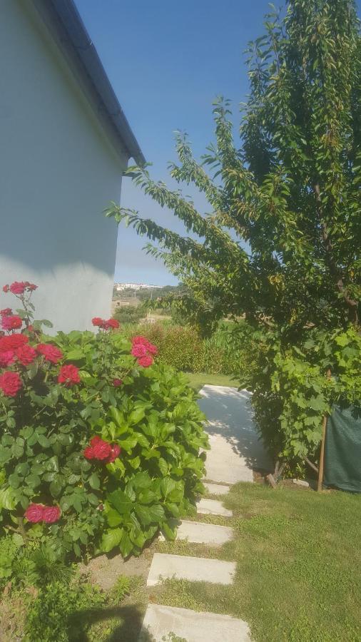 Quinta Do Serrado De Belmonte Белмонте Екстер'єр фото