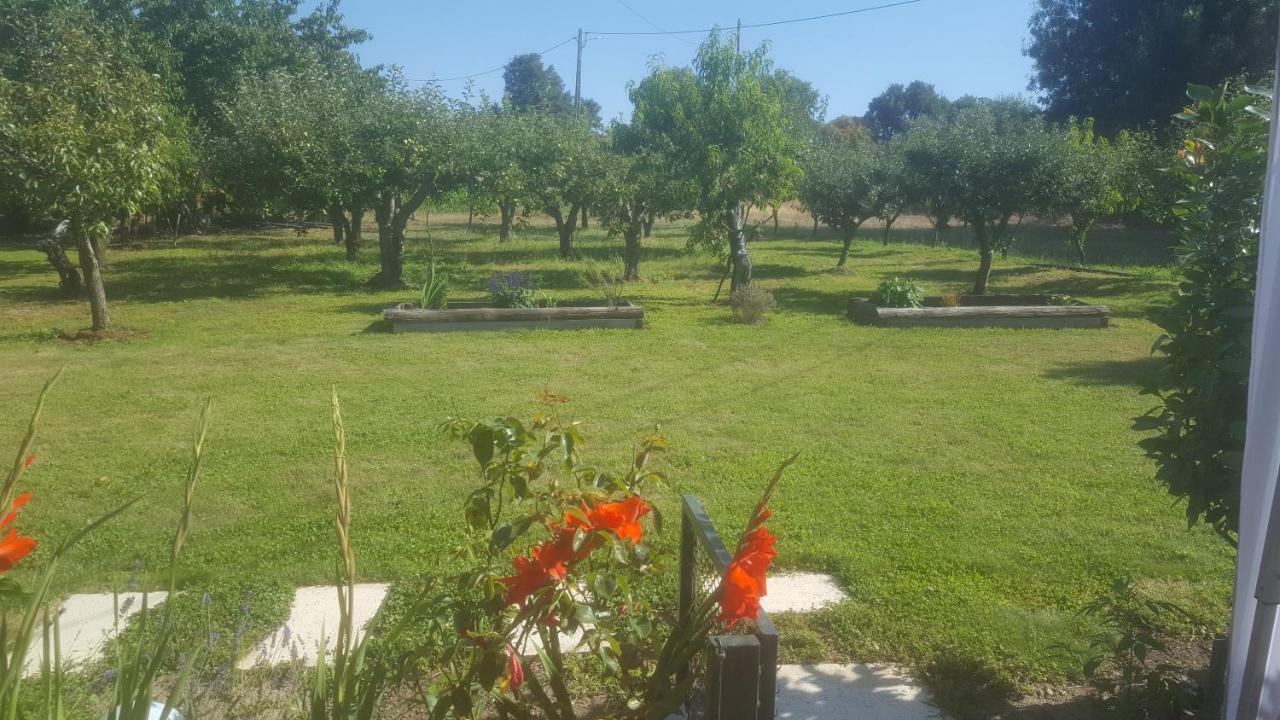 Quinta Do Serrado De Belmonte Белмонте Екстер'єр фото