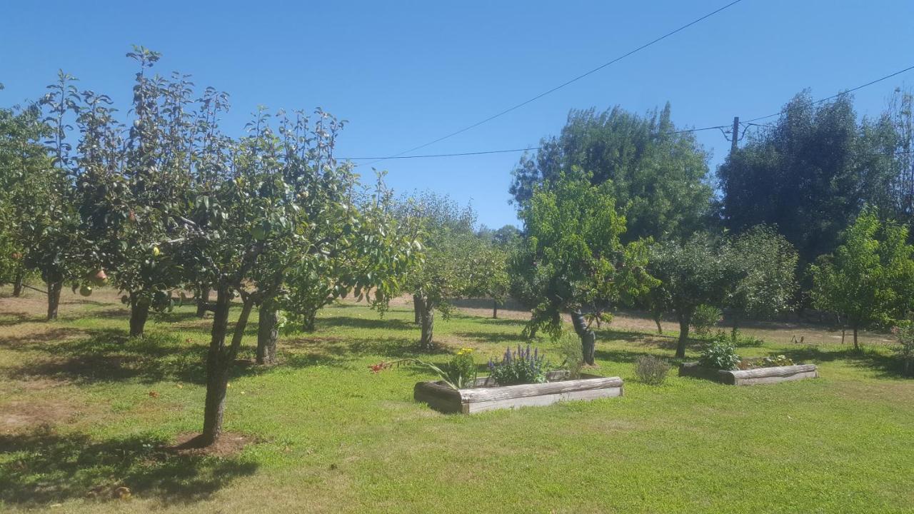 Quinta Do Serrado De Belmonte Белмонте Екстер'єр фото
